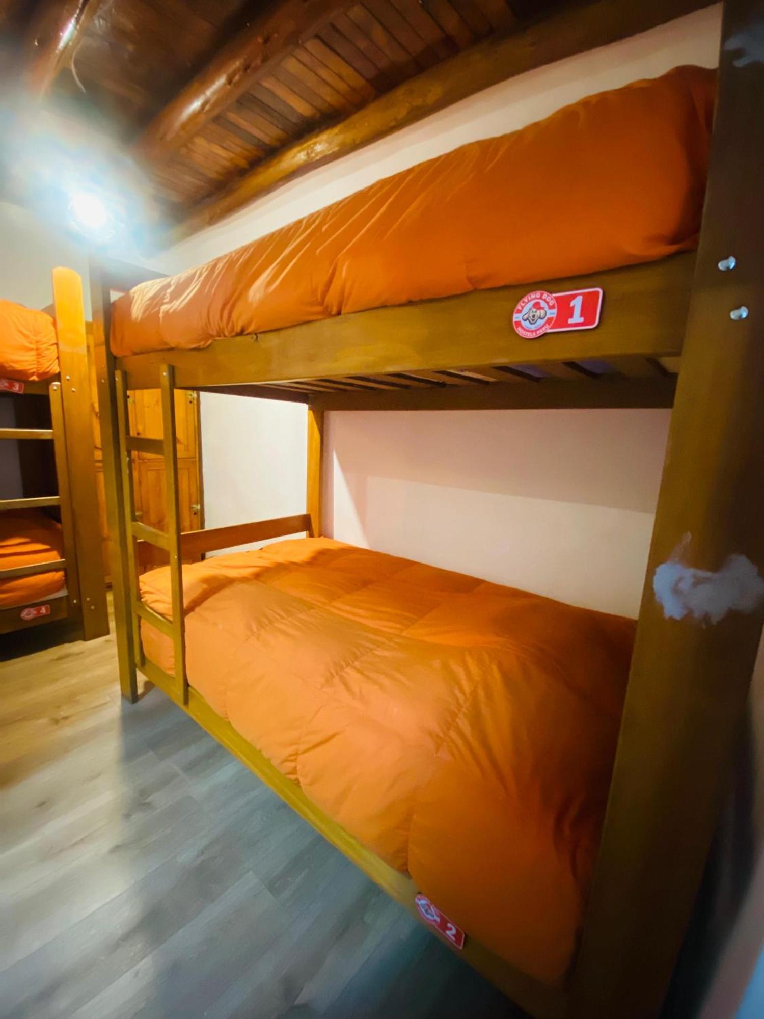 Flying Dog Hostel กุสโก ภายนอก รูปภาพ
